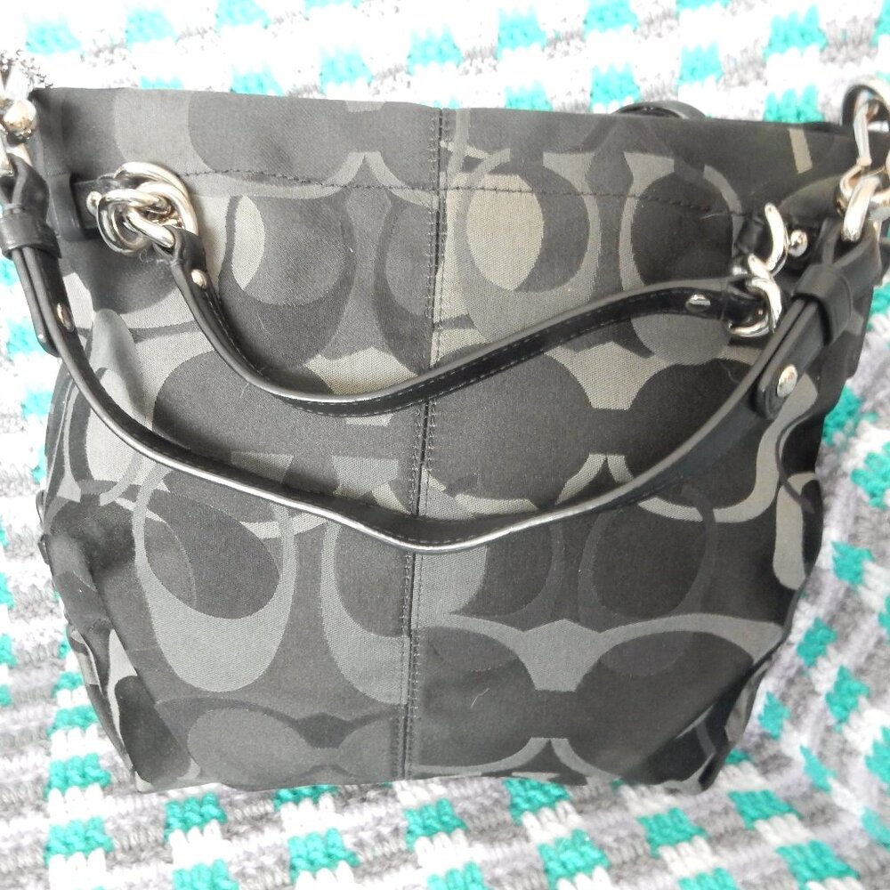 Coach  Brooke purse